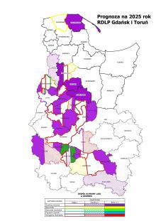 PROGNOZA NA 2025 ROK – CIĄG DALSZY